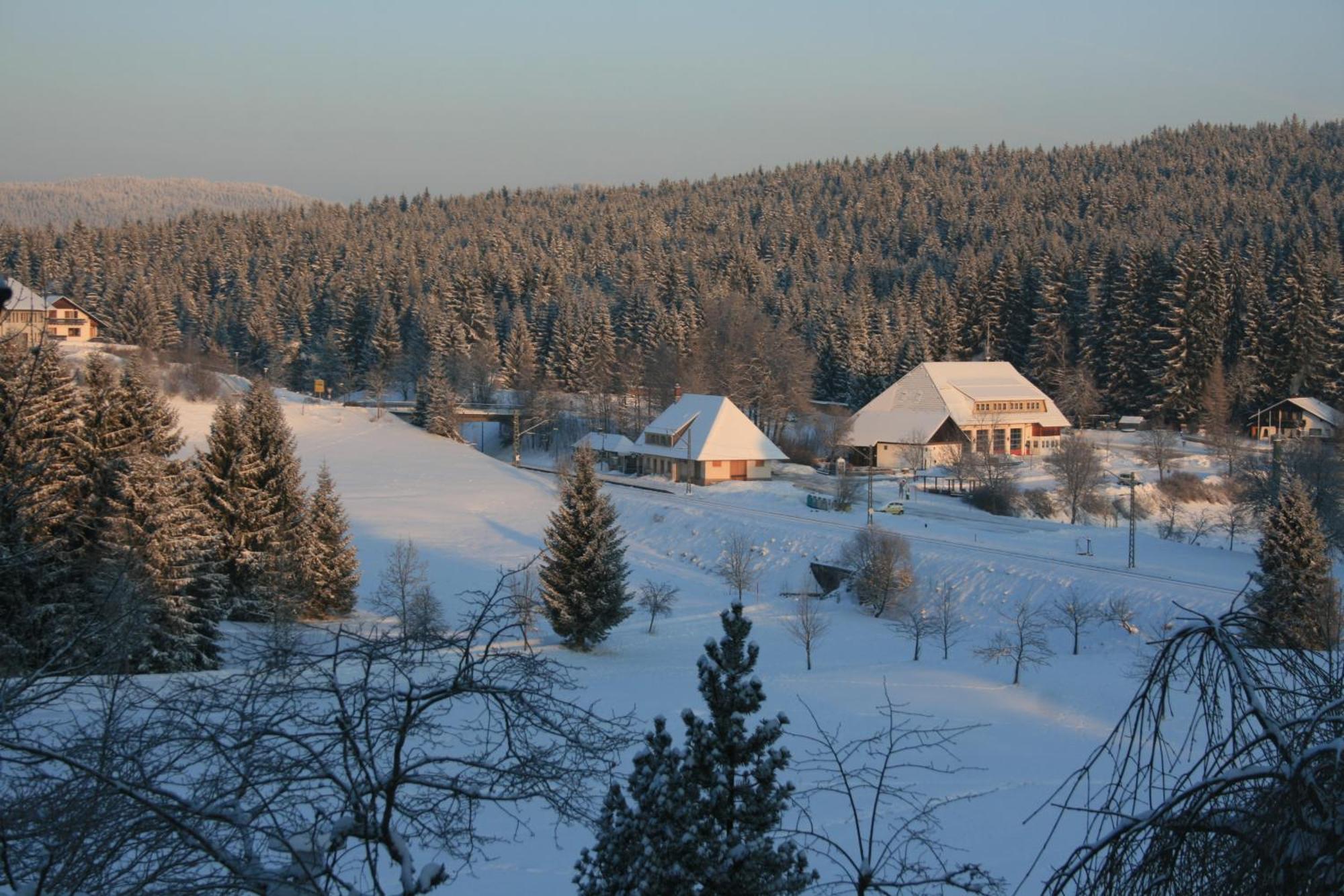 Hotel Waldeck Mit Restaurant "Florian'S" Feldberg  Bagian luar foto