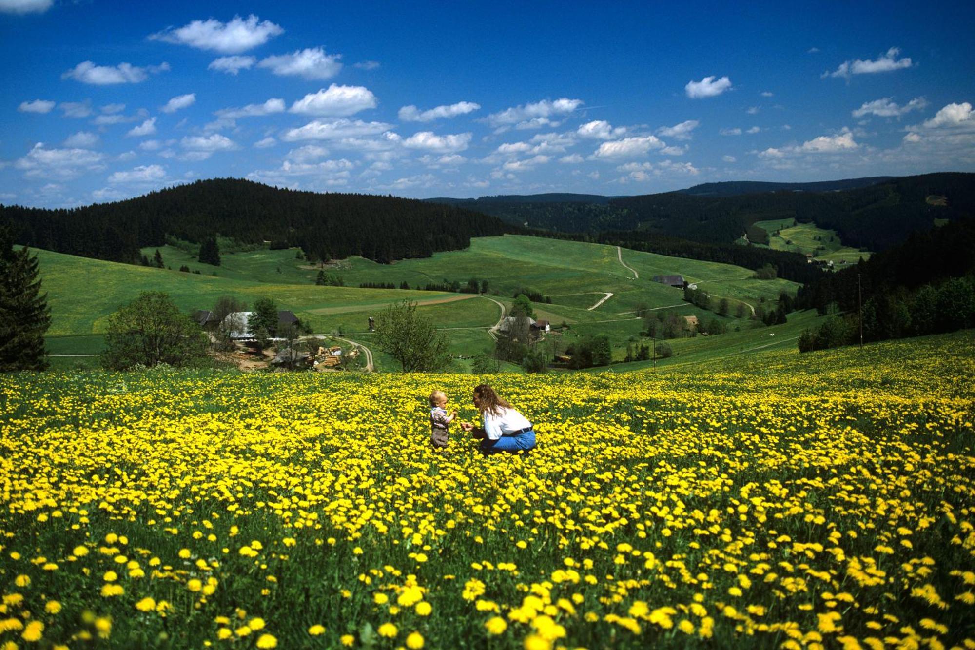 Hotel Waldeck Mit Restaurant "Florian'S" Feldberg  Bagian luar foto