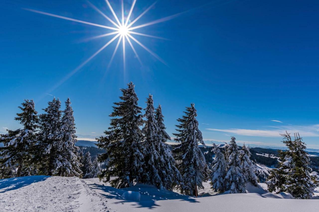 Hotel Waldeck Mit Restaurant "Florian'S" Feldberg  Bagian luar foto